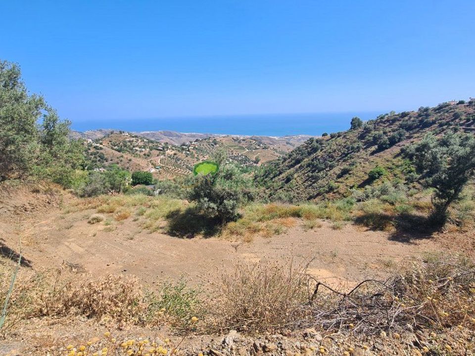 Helårsgrund i Sayalonga, Malaga - foto 3
