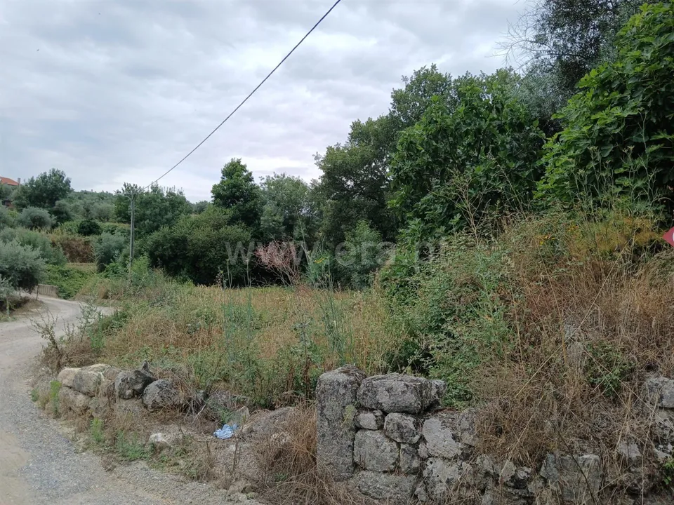 Helårsgrund i Fundao, Castelo Branco - foto 1