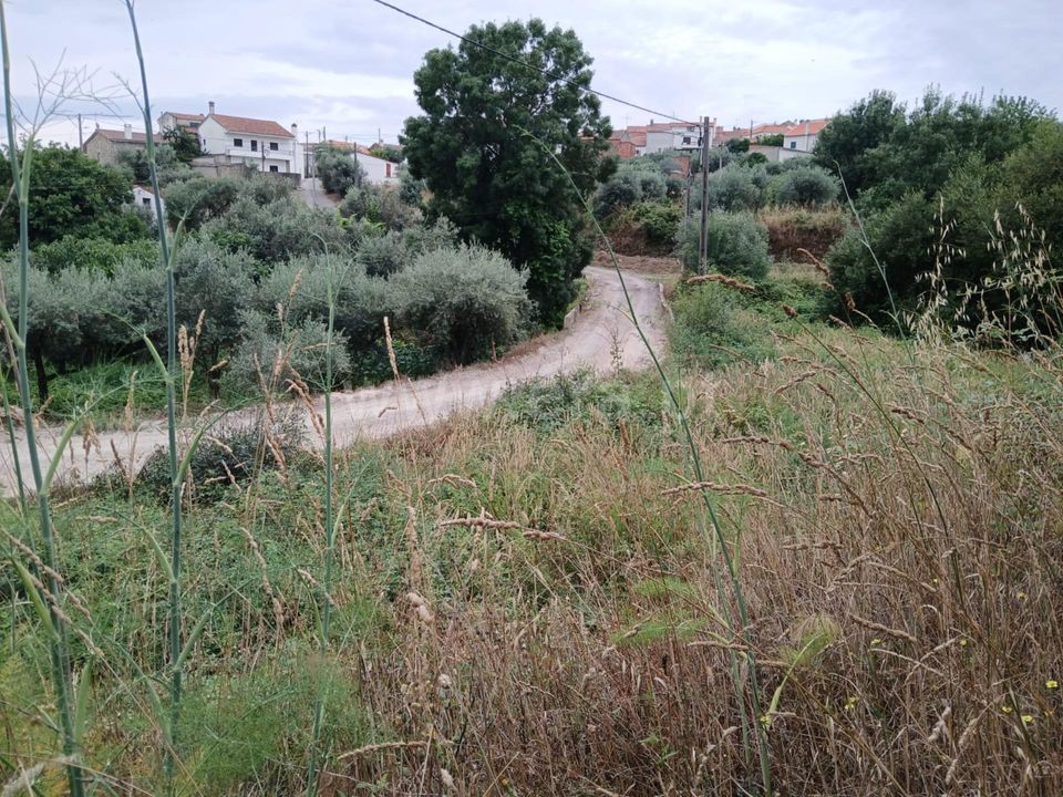 Helårsgrund i Fundao, Castelo Branco - foto 2