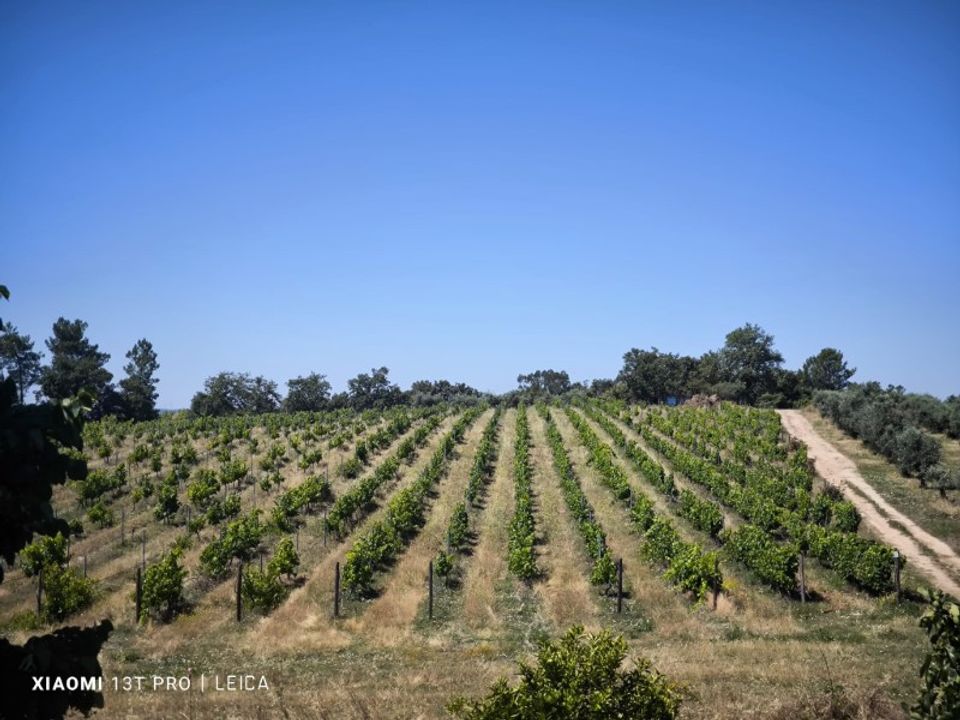 Landejendom i Fundao, Castelo Branco - foto 3