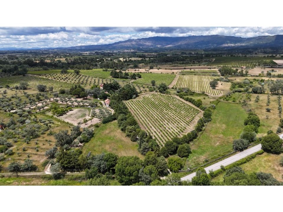 Landejendom i Fundao, Castelo Branco - foto 1