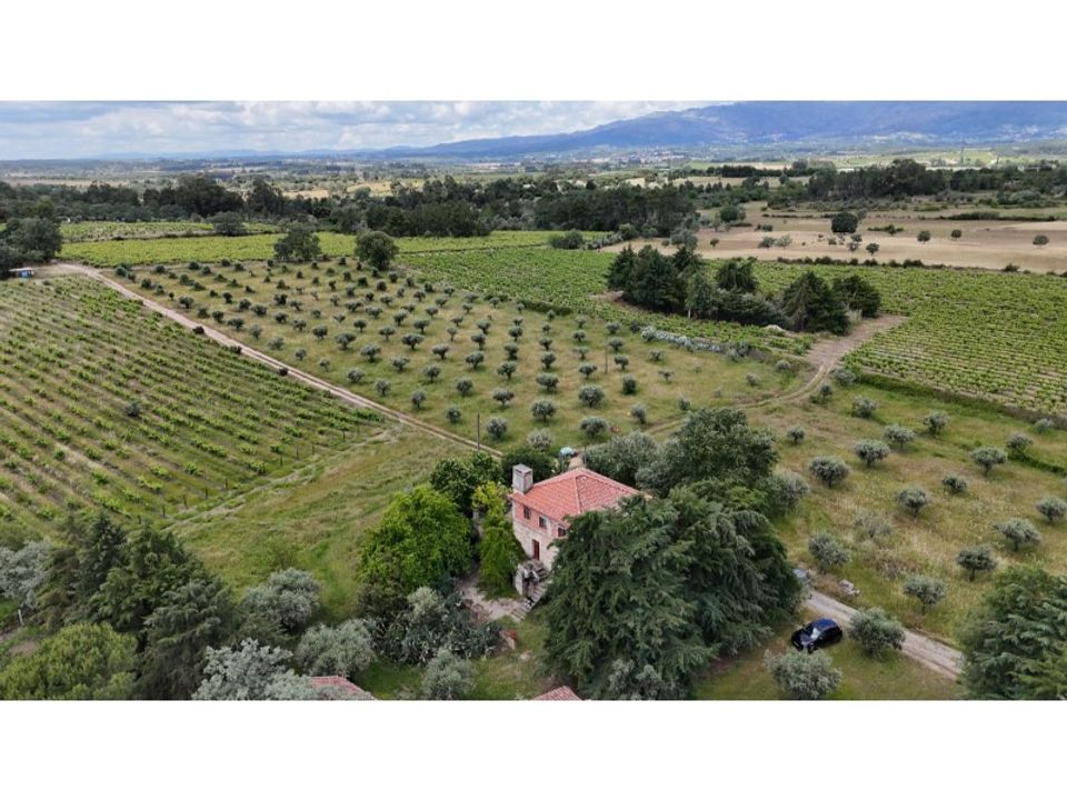 Landejendom i Fundao, Castelo Branco - foto 2