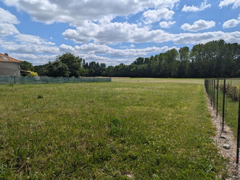 Terra a Saint-Medard, Charente-Maritime - foto 3