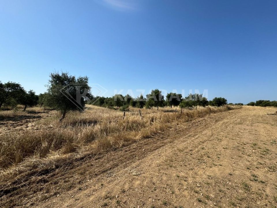 Herregård i Ourique, Beja - bilde 5