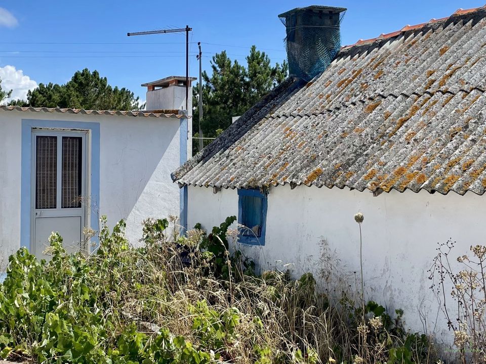 Villa i Comporta, Setubal - foto 3