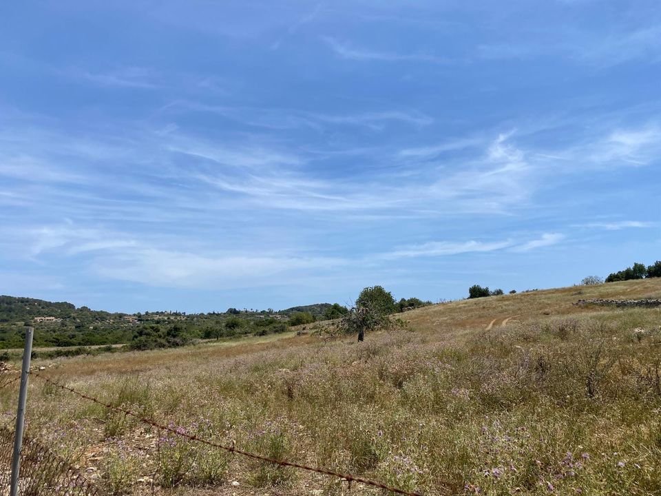Helårsgrund i Son Servera, Mallorca - foto 1