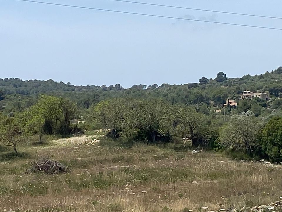 Helårsgrund i Son Servera, Mallorca - foto 1