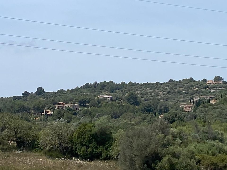 Helårsgrund i Son Servera, Mallorca - foto 3