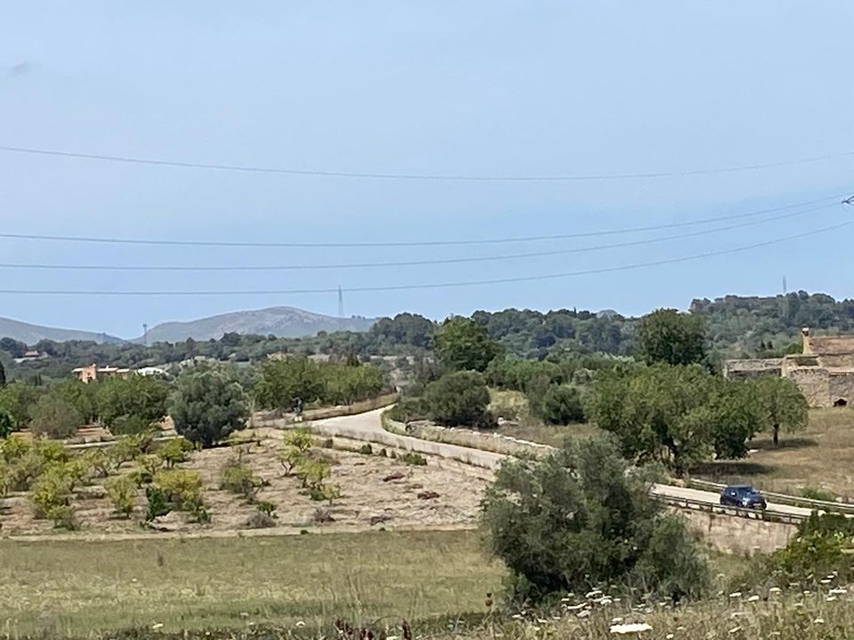 Helårsgrund i Son Servera, Mallorca - foto 4