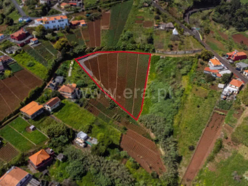 Helårsgrund i Santana, Madeira - foto 5