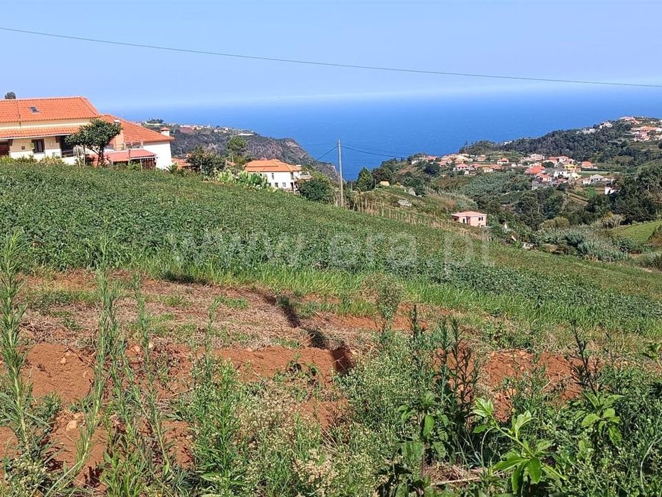 Tomt i Santana, Madeira - bilde 1
