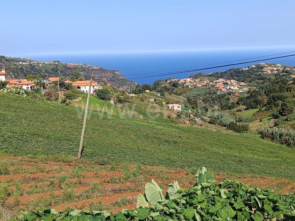 Tomt i Santana, Madeira - bilde 4