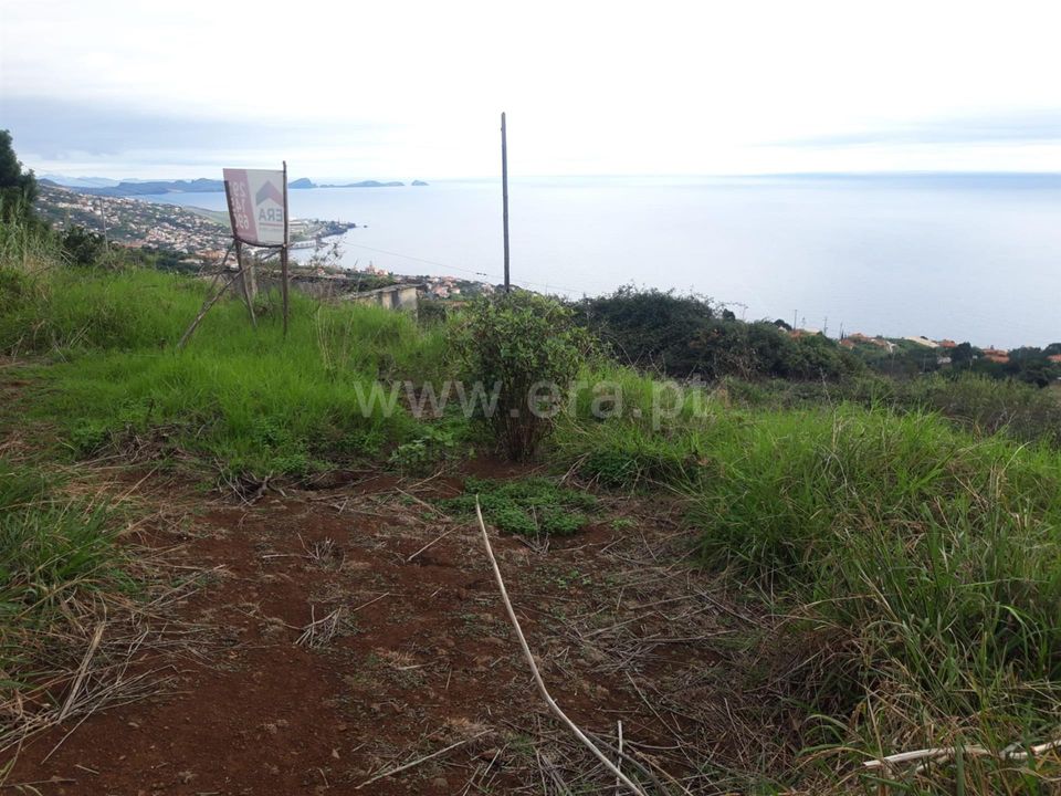 Helårsgrund i Santa Cruz, Madeira - foto 3