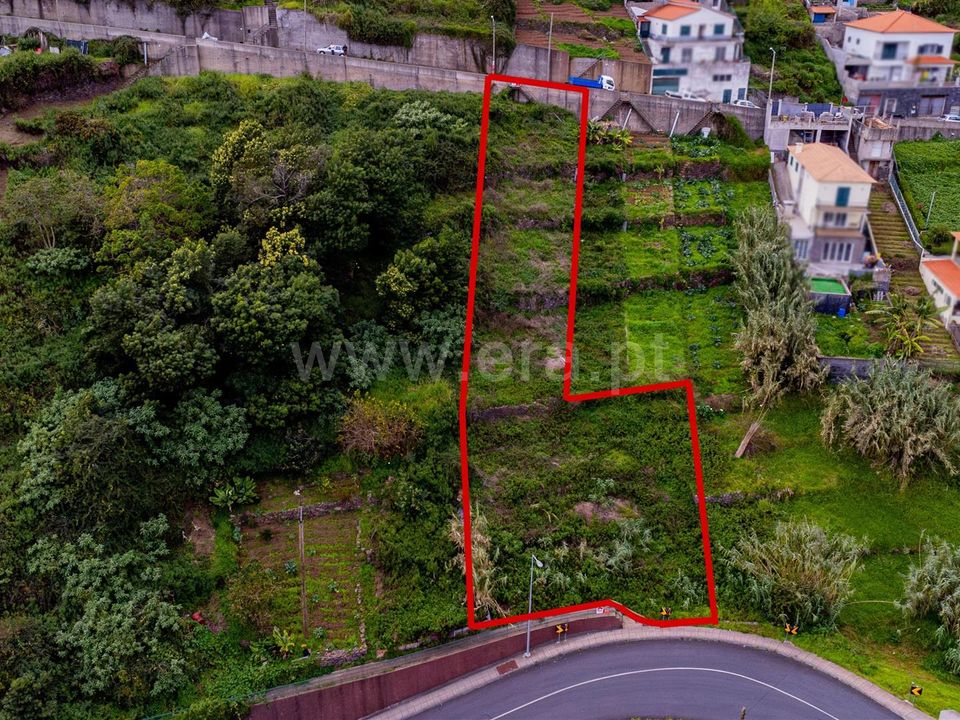 Helårsgrund i Funchal, Madeira - foto 5
