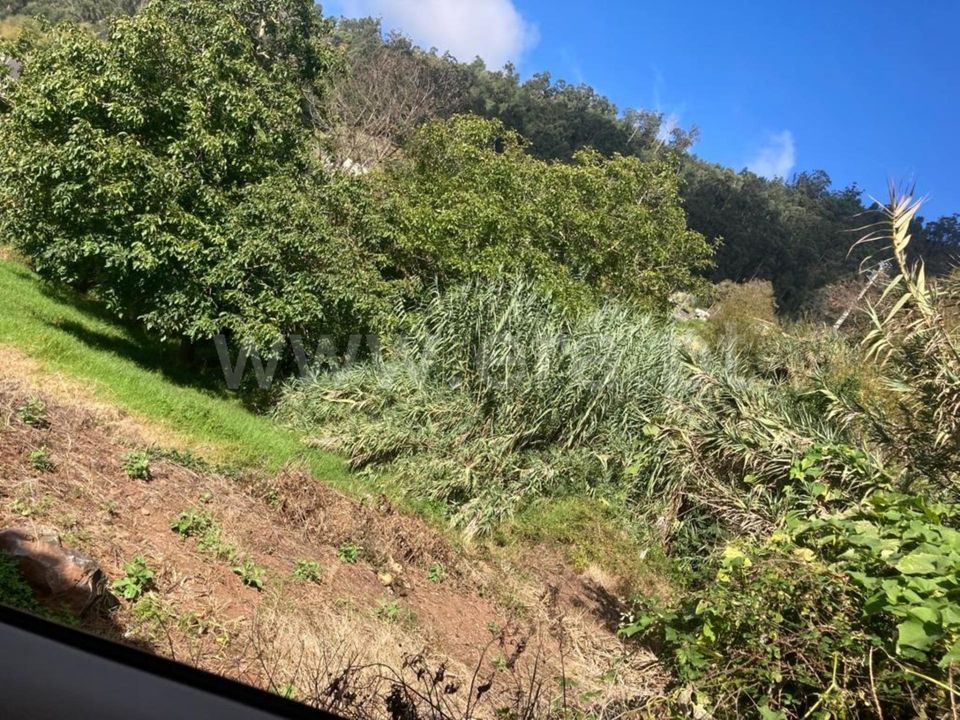 Tomt i Calheta, Madeira - foto 2