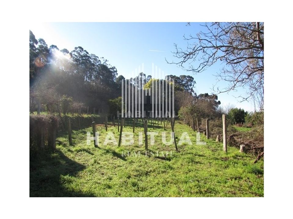 Farm i Caminha, Viana do Castelo - foto 4