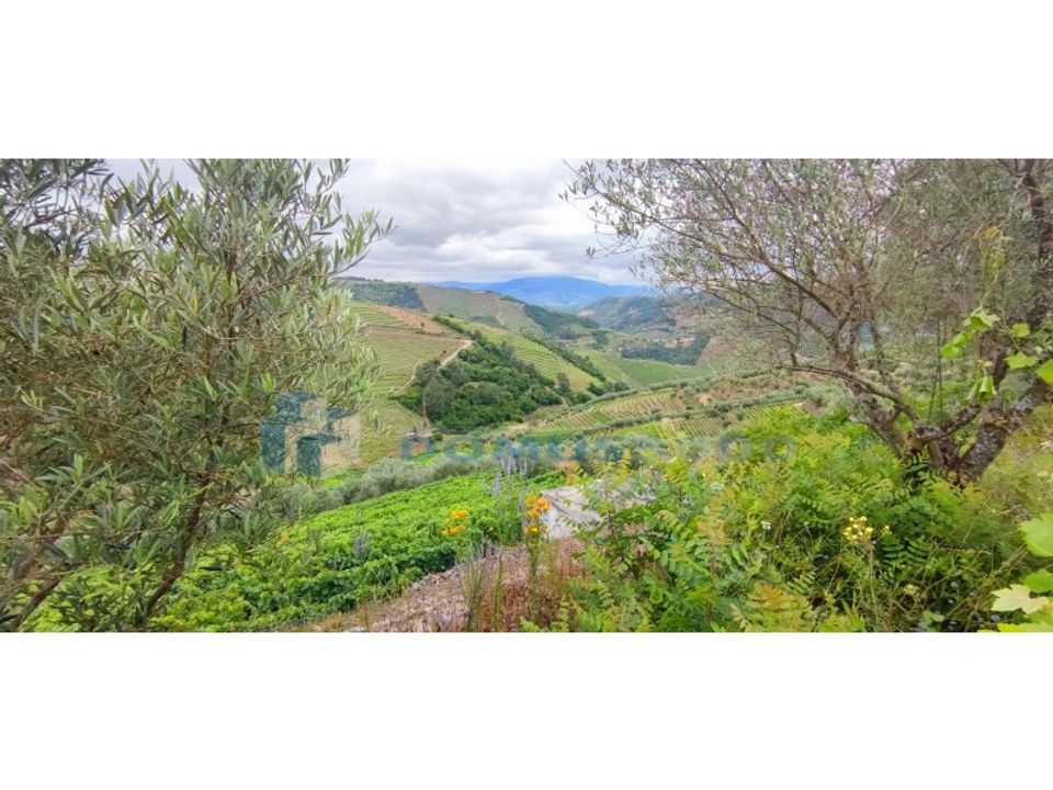 Farm i Vila Real, Vila Real - foto 1