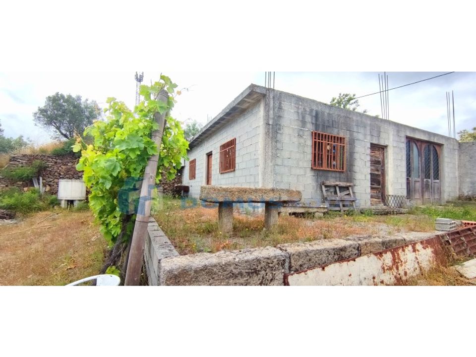 Farm i Vila Real, Vila Real - foto 3