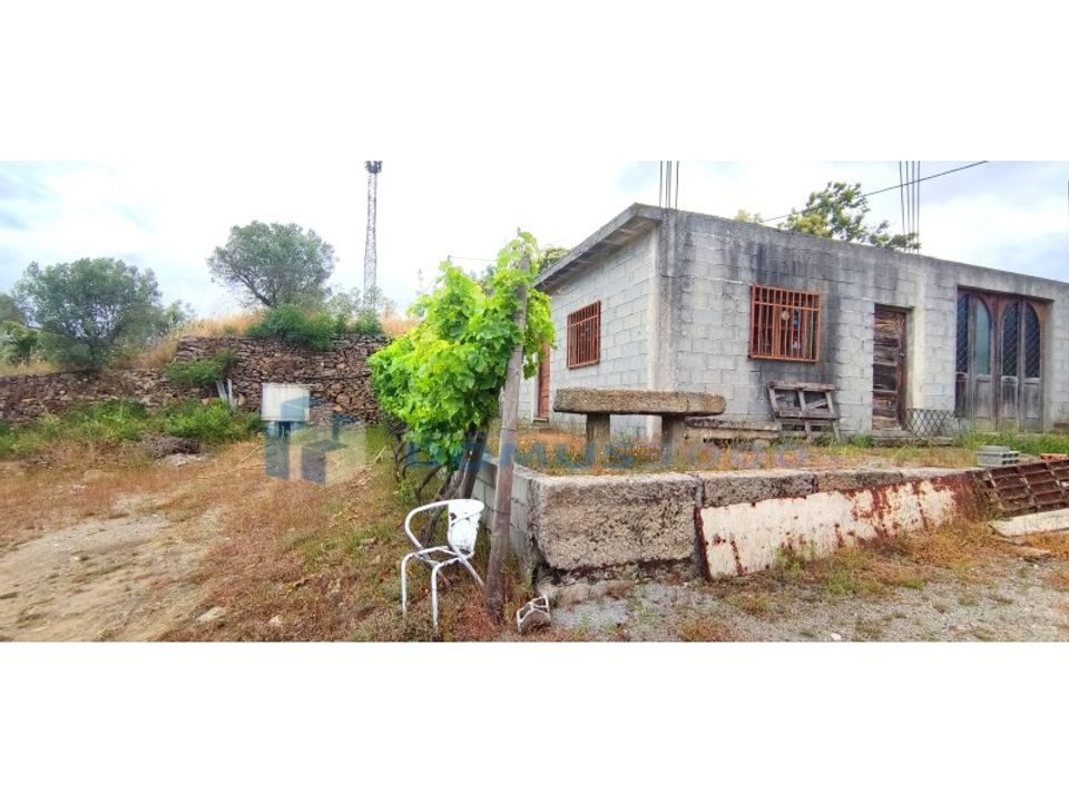 Farm i Vila Real, Vila Real - foto 4
