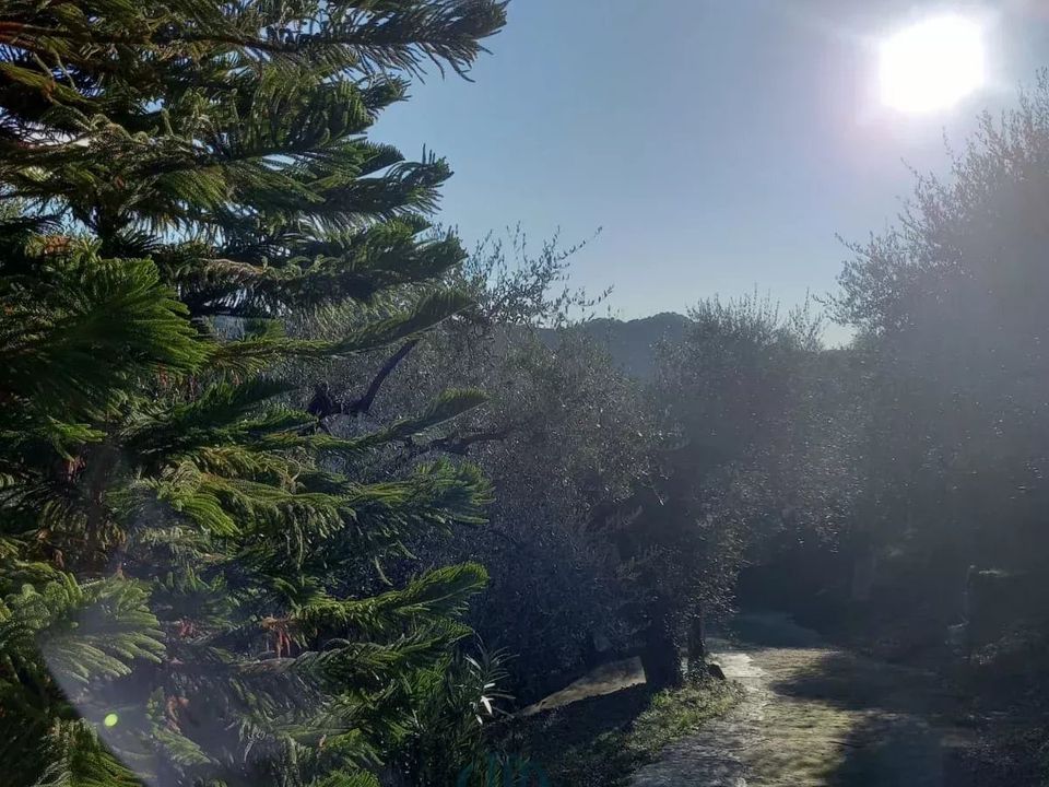 Villa i Dolceacqua, Imperia - foto 4