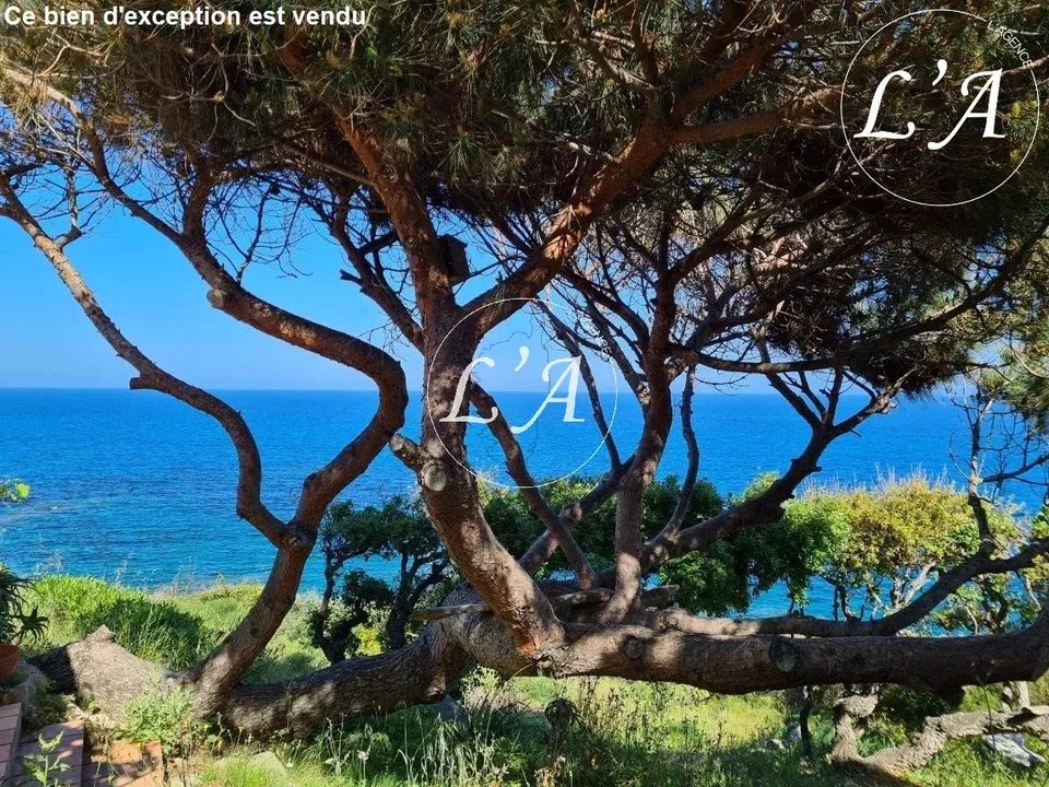 Villa i Porto-Vecchio, Corse-du-Sud - foto 1