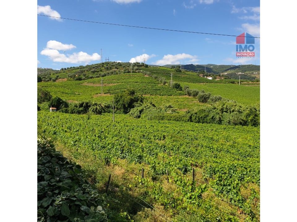 Helårsgrund i Lamego, Viseu - foto 3