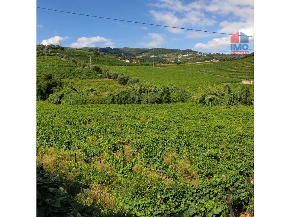 Helårsgrund i Lamego, Viseu - foto 5