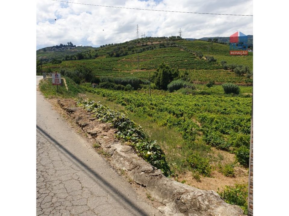 Helårsgrund i Lamego, Viseu - foto 5