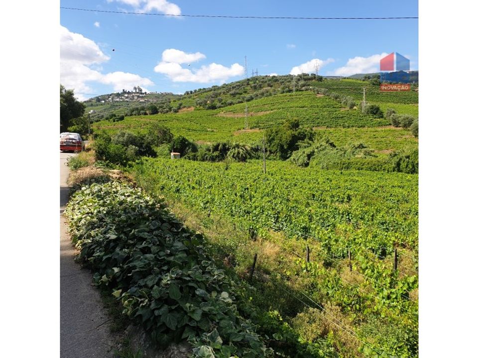 Helårsgrund i Lamego, Viseu - foto 2