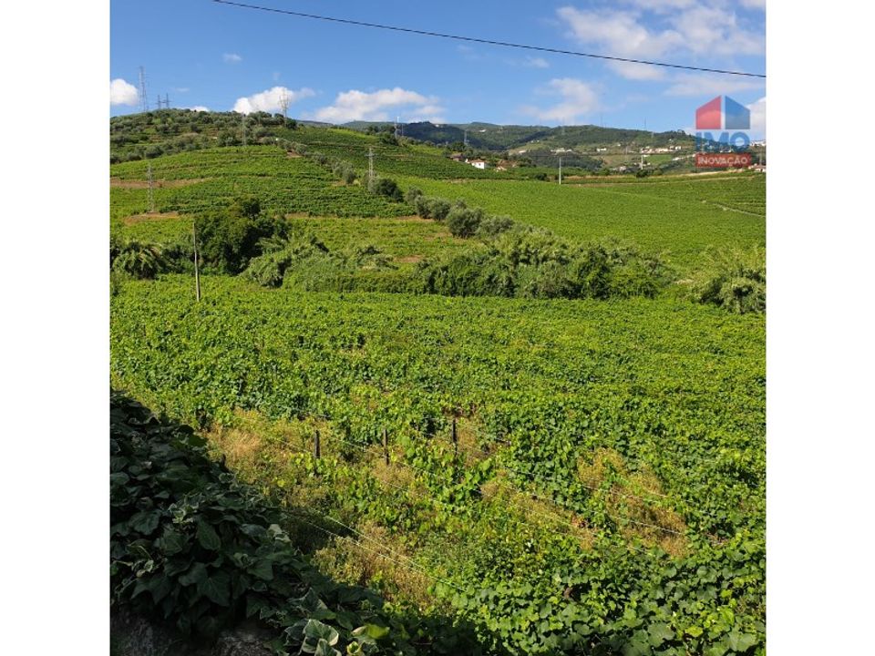 Helårsgrund i Lamego, Viseu - foto 4