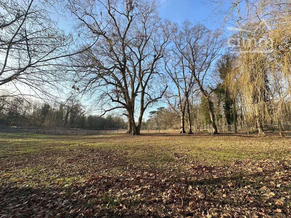 Herregård i Gouvernes, Seine-et-Marne - bilde 3