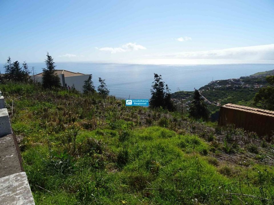 Helårsgrund i Arco da Calheta, Madeira - foto 1