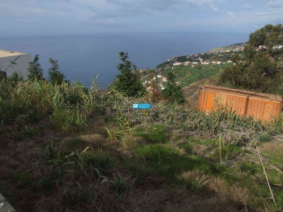 Helårsgrund i Arco da Calheta, Madeira - foto 2