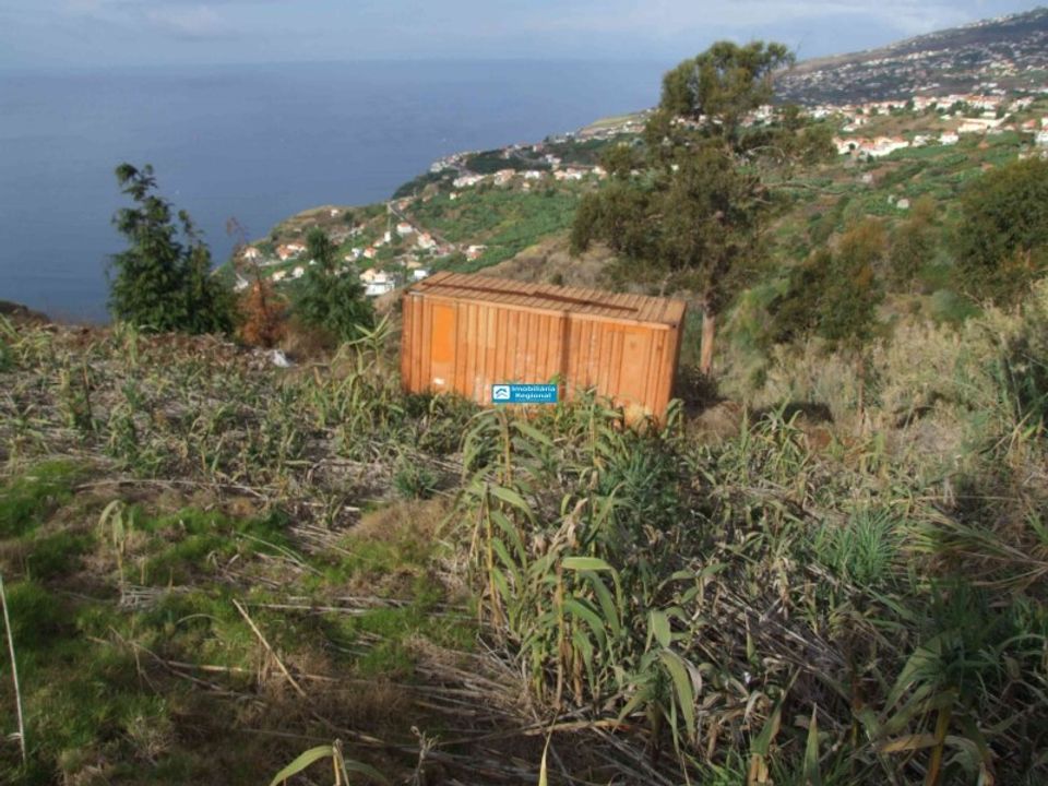 Helårsgrund i Arco da Calheta, Madeira - foto 3