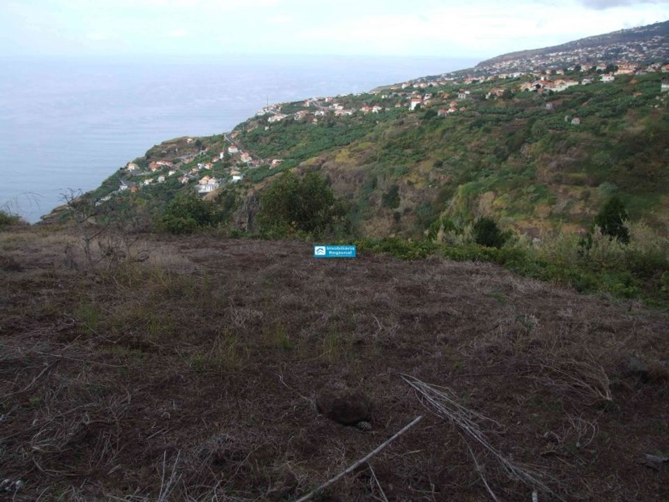 Helårsgrund i Arco da Calheta, Madeira - foto 4