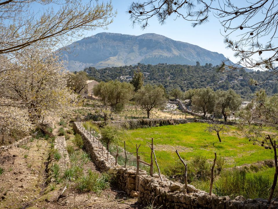 Landejendom i Escorca, Mallorca - foto 3