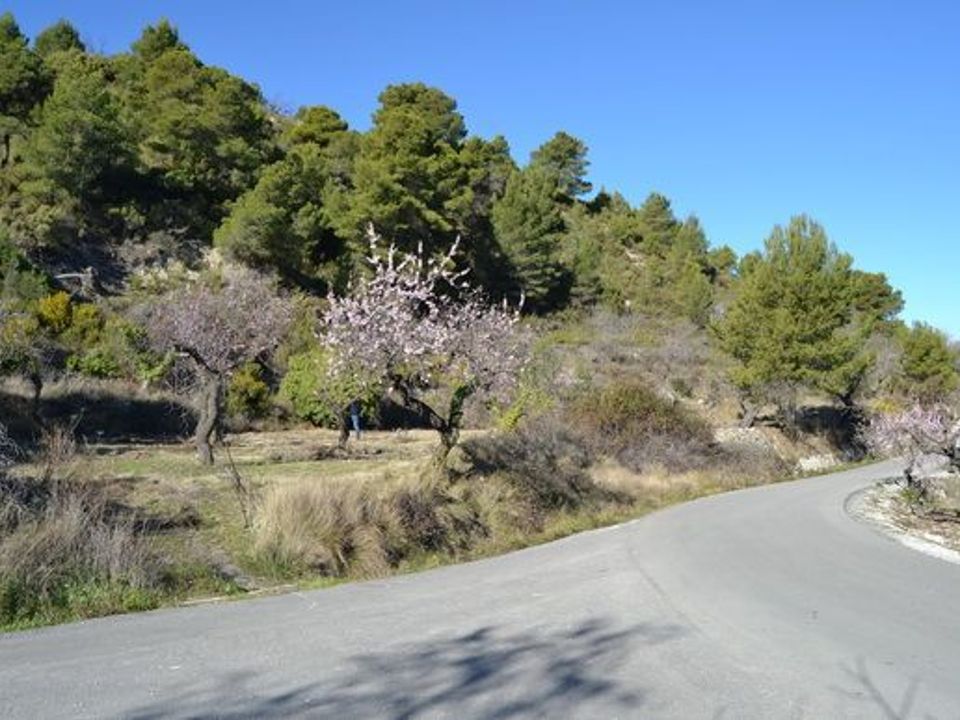 Terra a Benimantell, Alicante - foto 2