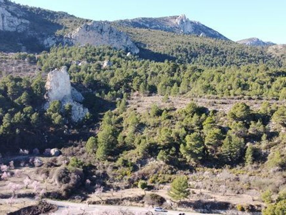 Terra a Benimantell, Alicante - foto 5