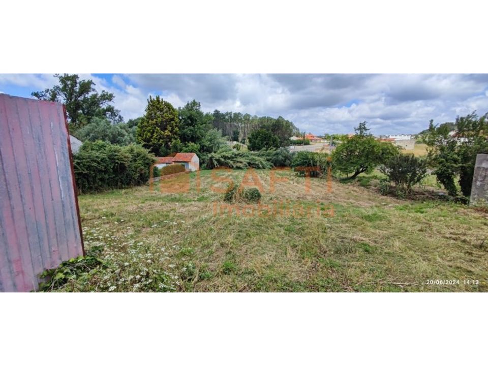 Terra a Parceiros e Azoia, Leiria - foto 4