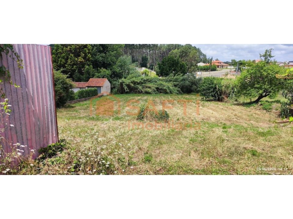 Terra a Parceiros e Azoia, Leiria - foto 5