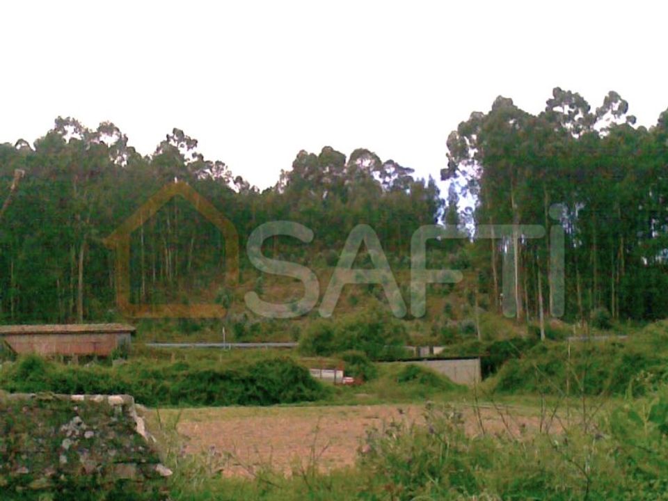 Terra a Reboreda e Nogueira, Viana do Castelo - foto 1