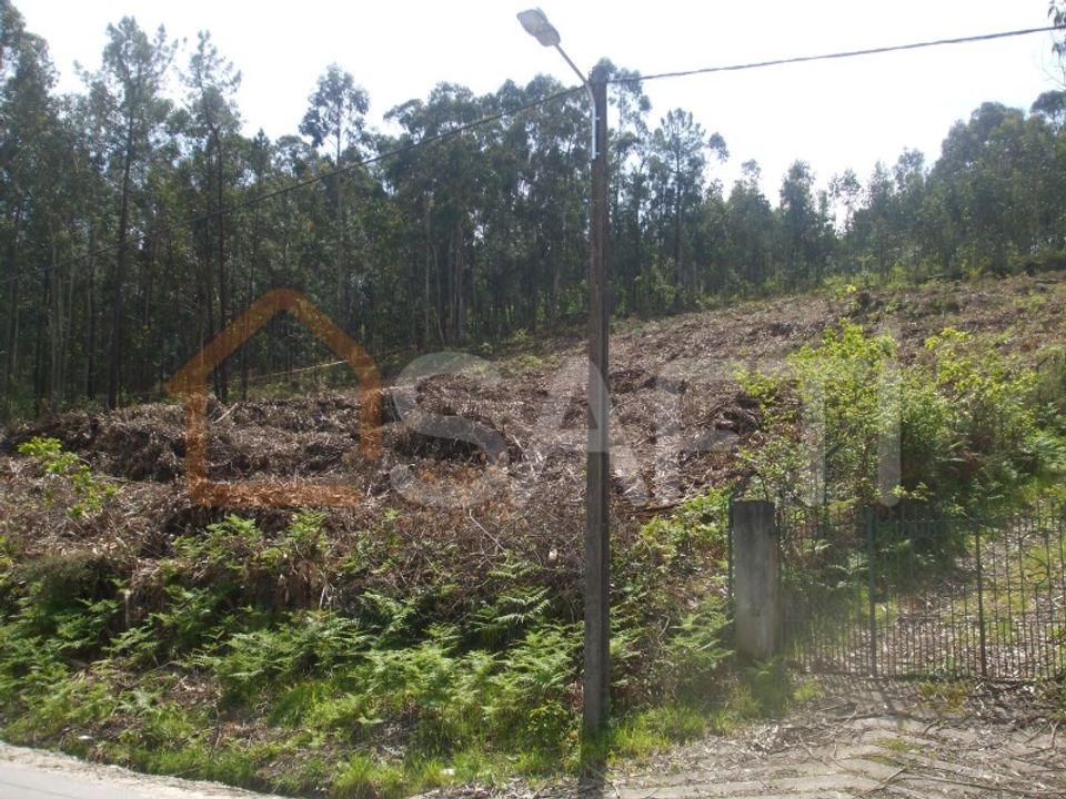Terra a Reboreda e Nogueira, Viana do Castelo - foto 2