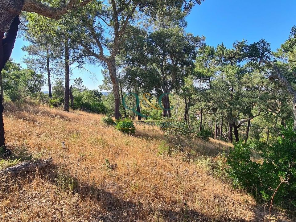 Helårsgrund i Sao Bras de Alportel, Faro - foto 3