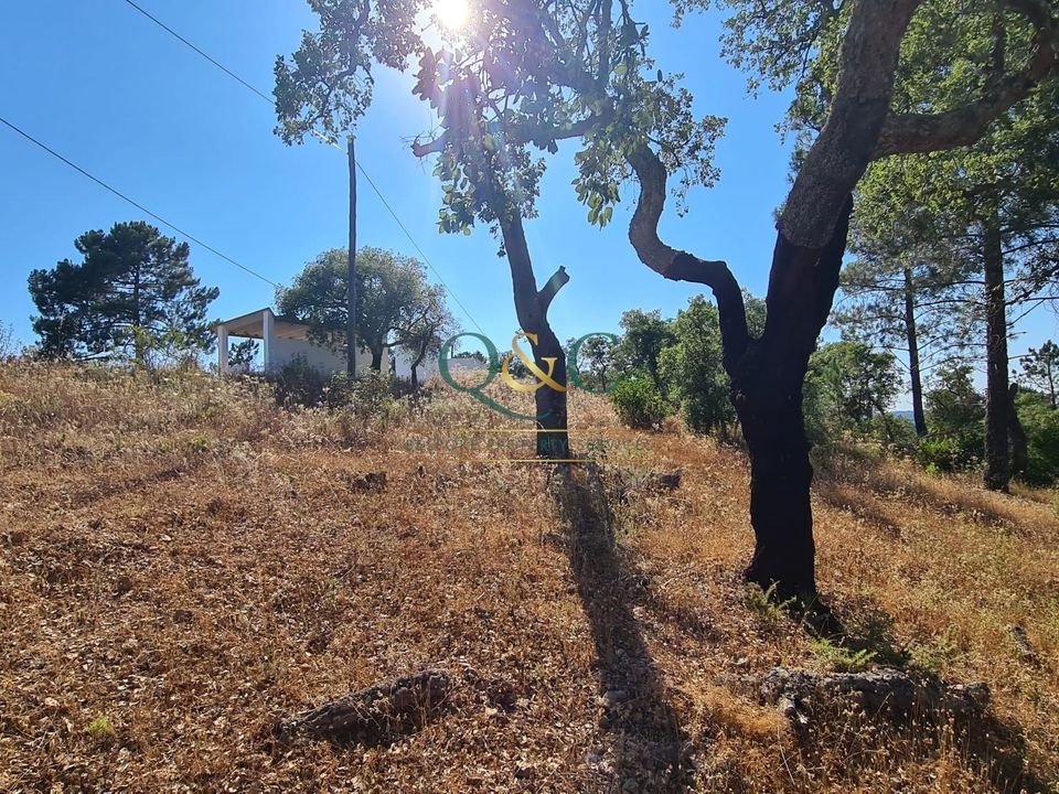 Helårsgrund i Sao Bras de Alportel, Faro - foto 4