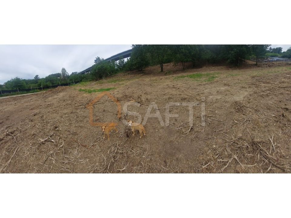 Tomt i Regilde, Porto - bilde 5