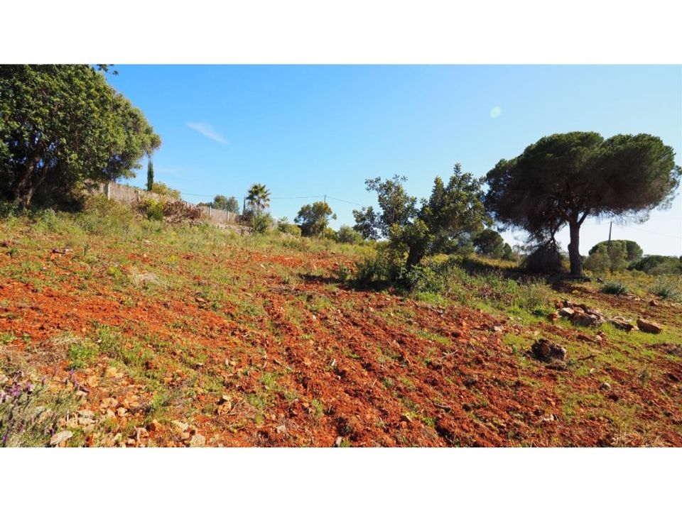 Helårsgrund i Ferreiras, Faro - foto 3