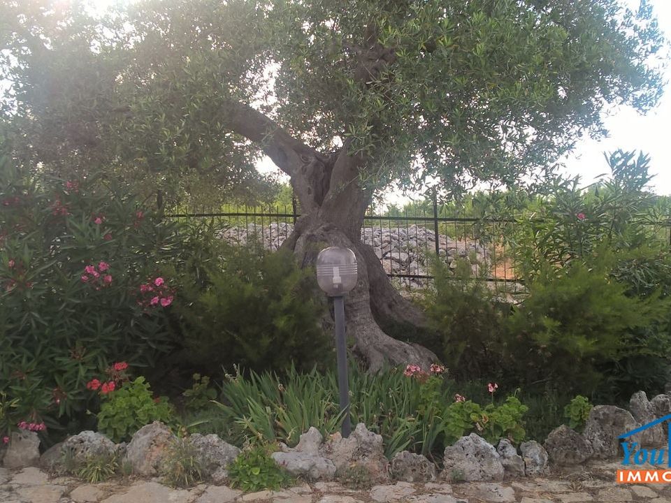 Villa i Castellana Grotte, Bari - foto 3