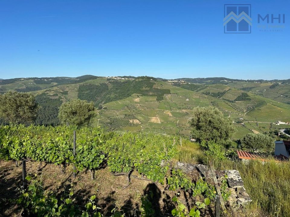 Granja a Vila Real, Vila Real - foto 3