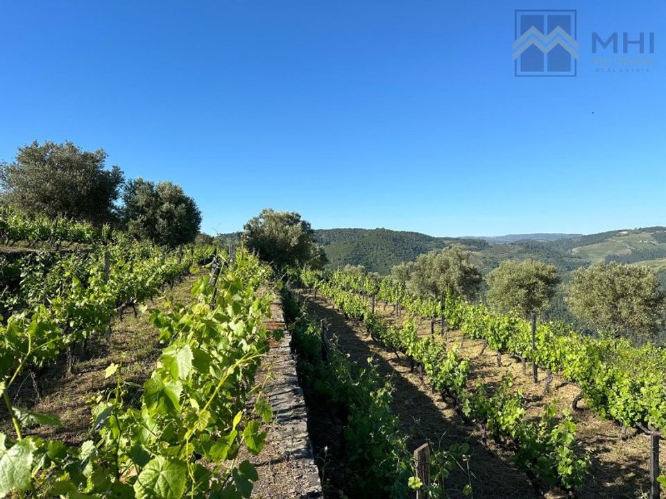 Granja a Vila Real, Vila Real - foto 4