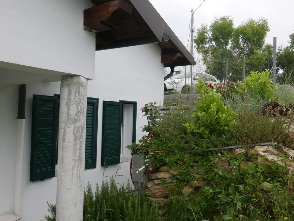 Villa i Vallebona, Imperia - bilde 4